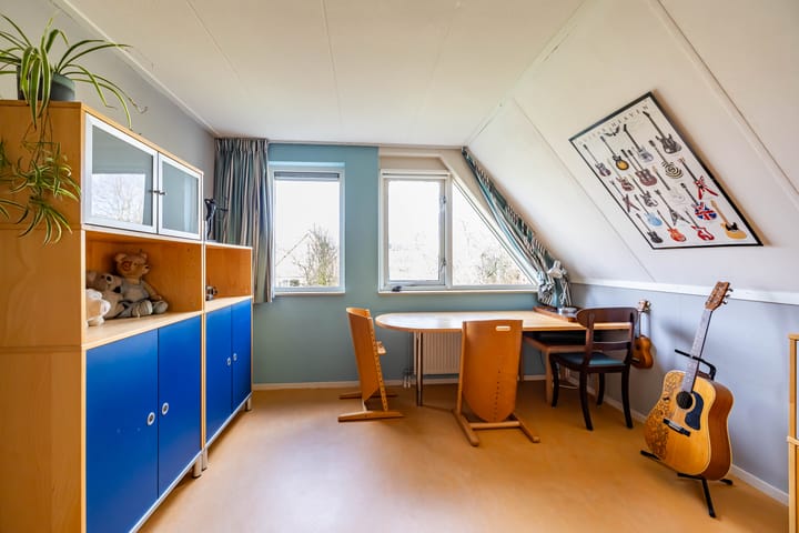 Photo 29 of Aalscholver 3