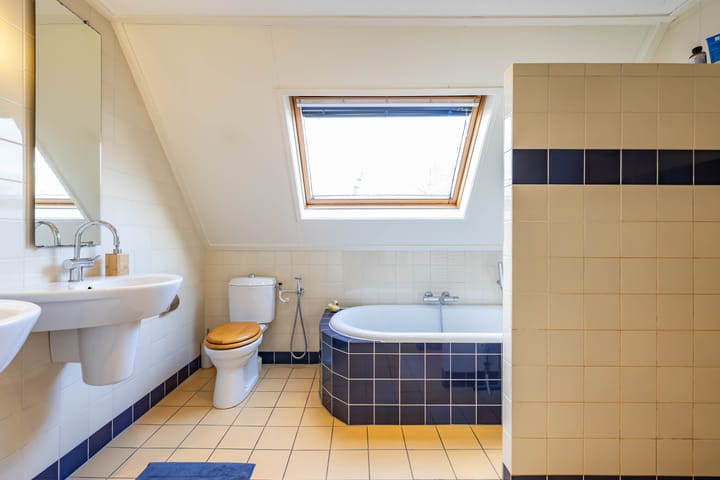 Photo 30 of Aalscholver 3