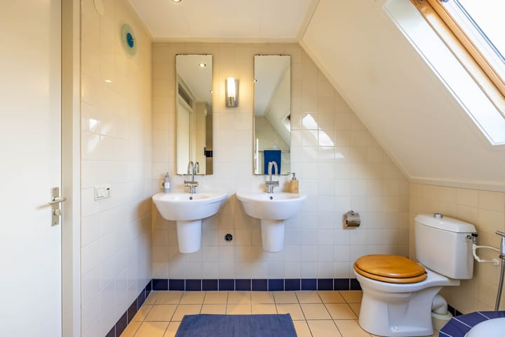 Photo 32 of Aalscholver 3