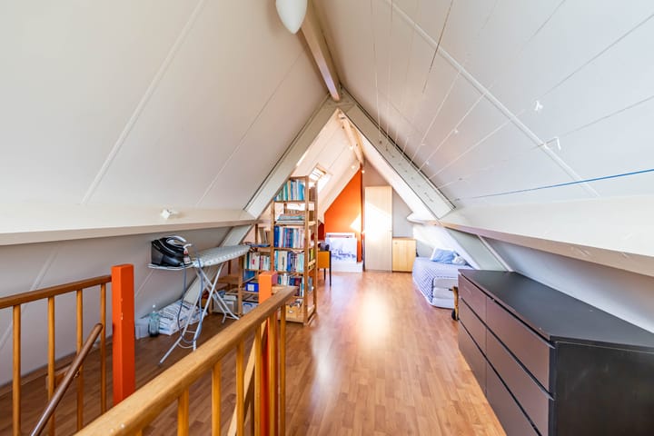 Photo 33 of Aalscholver 3