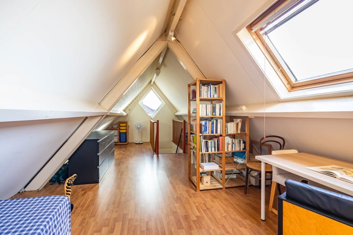 Photo 34 of Aalscholver 3