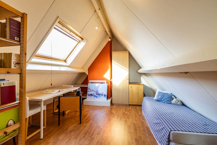 Photo 35 of Aalscholver 3