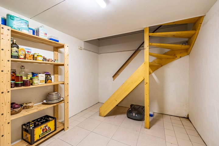 Photo 36 of Aalscholver 3