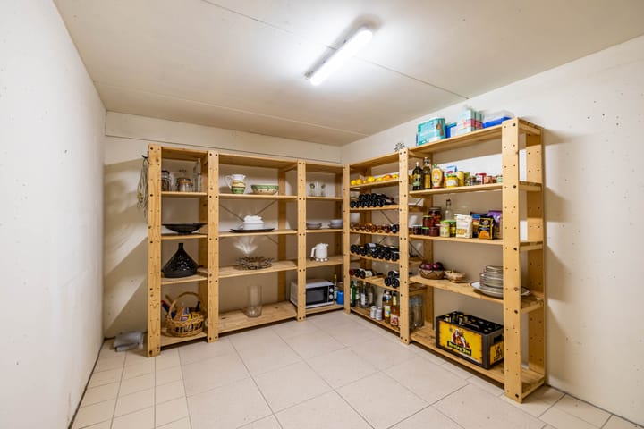 Photo 37 of Aalscholver 3