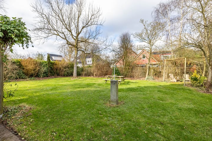 Photo 40 of Aalscholver 3