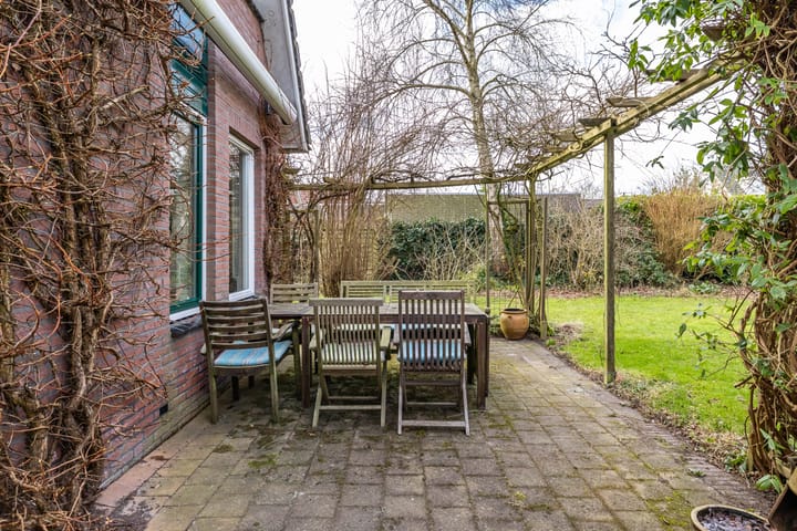 Photo 41 of Aalscholver 3