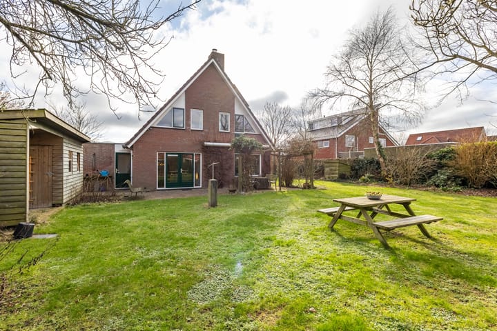 Photo 42 of Aalscholver 3