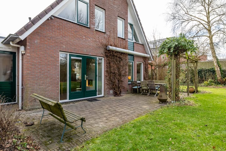 Photo 43 of Aalscholver 3