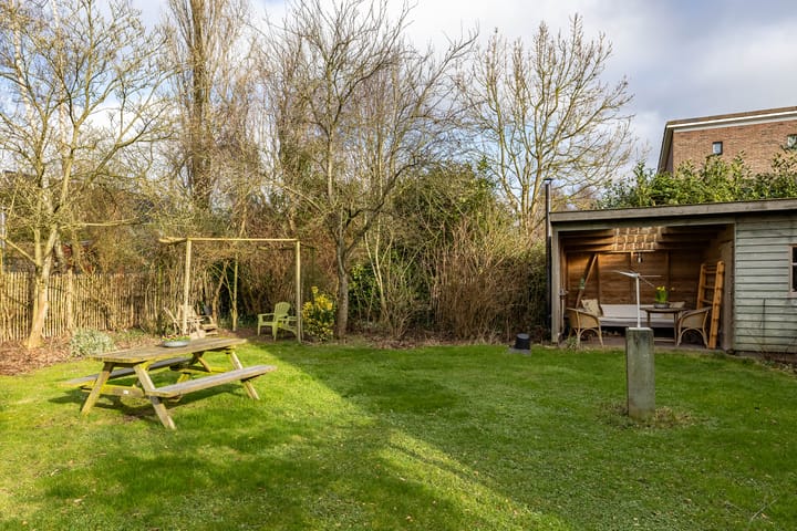 Photo 44 of Aalscholver 3