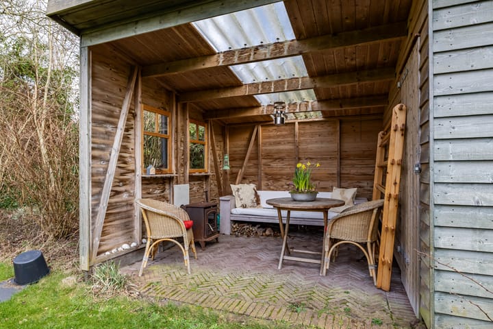 Photo 45 of Aalscholver 3