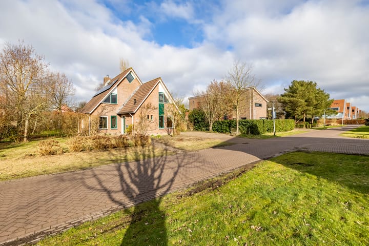 Photo 46 of Aalscholver 3