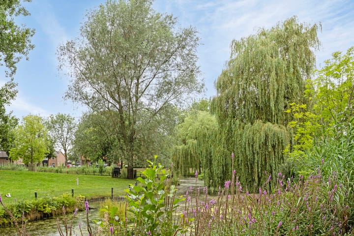 Foto 41 van De Vlacie 19