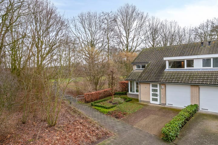 Photo 20 of Beier 24