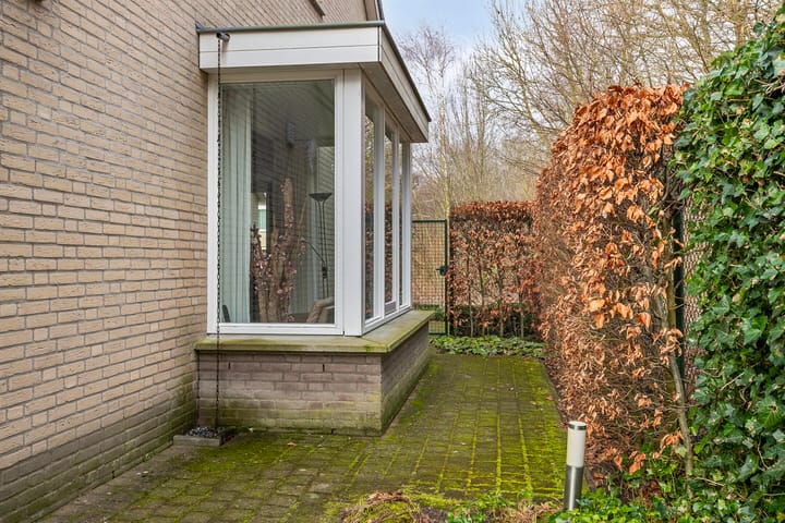 Photo 39 of Beier 24