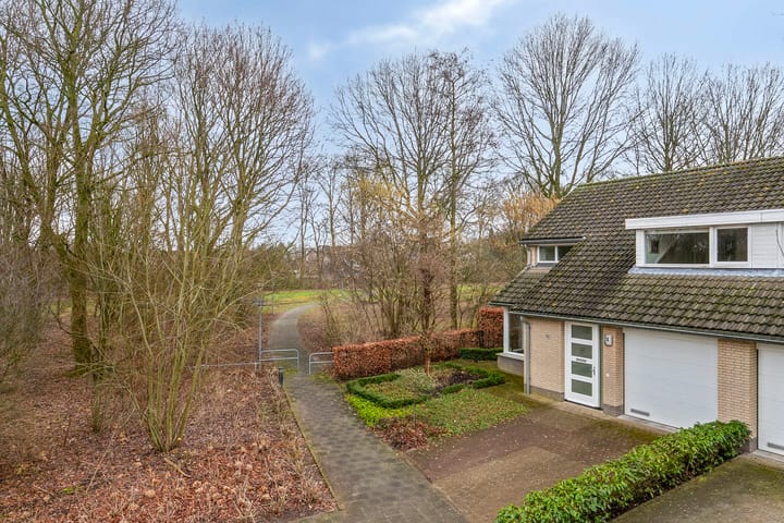 Photo 42 of Beier 24