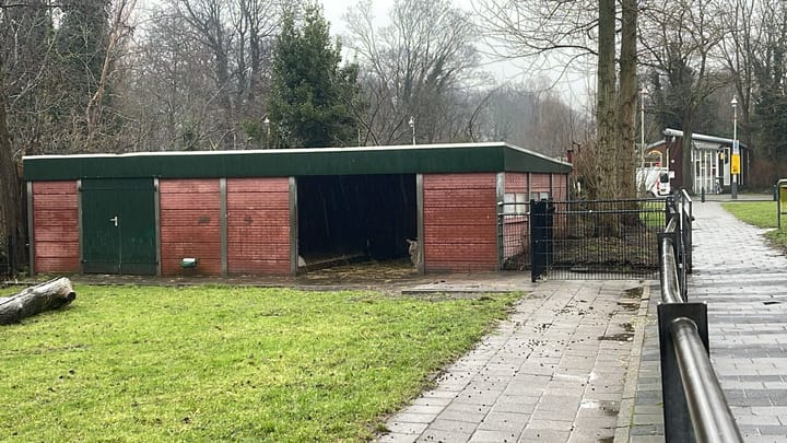 Foto 33 van Mient 233