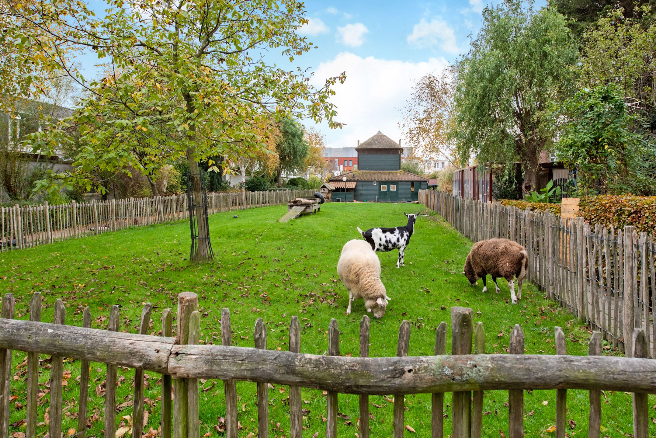 Photo 33 of Zoutkeetsingel 21