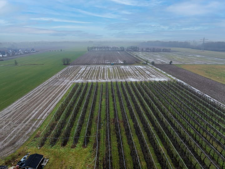 Foto 36 van Wilhelmus Peekhof 21