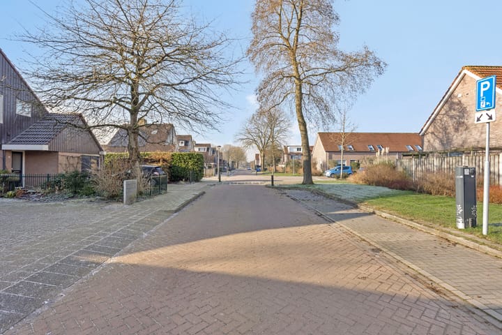 Foto 5 van Grote Plaat 21