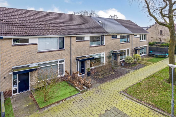Bekijk foto van Jonkerveld 424