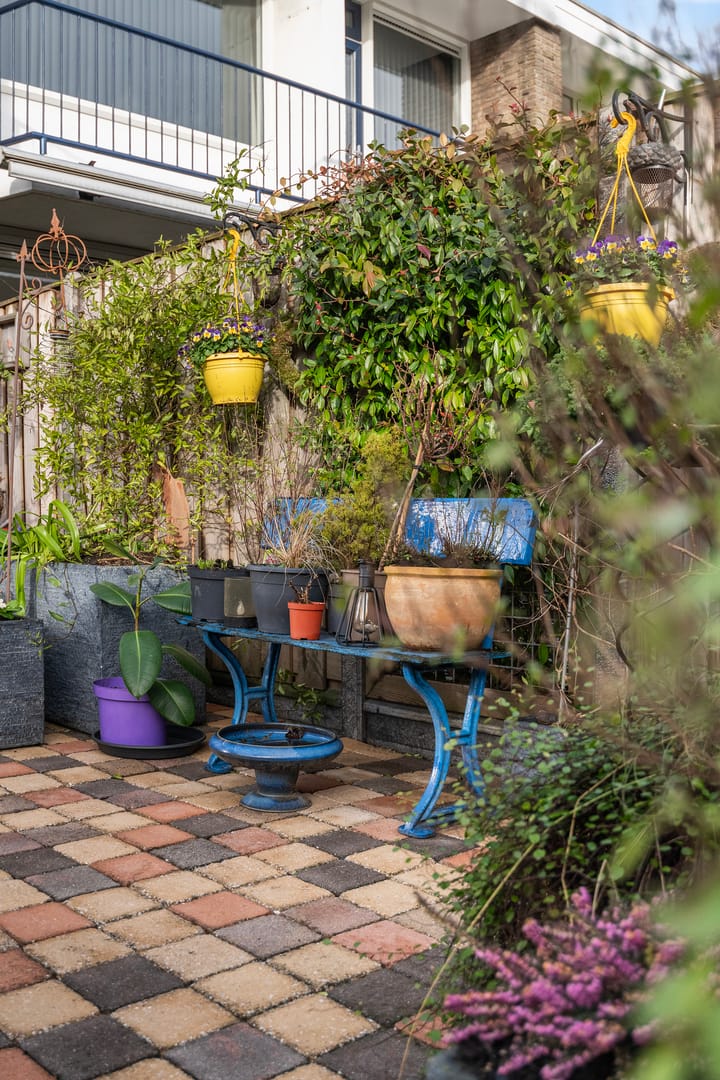 Foto 15 van Lieven de Keystraat 48