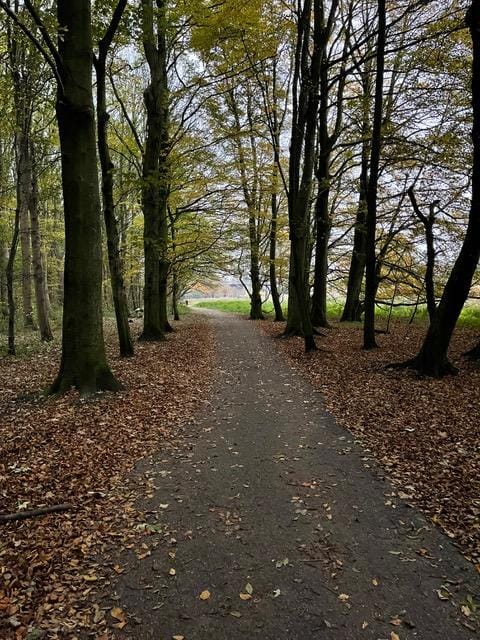 Foto 52 van Lieven de Keystraat 48