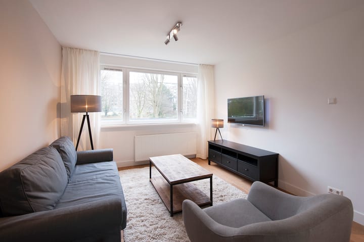 Foto 6 van Schierstins 155