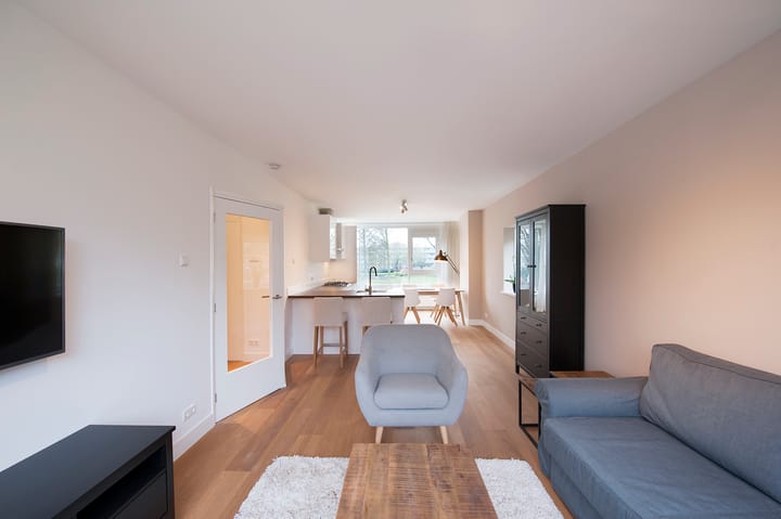 Foto 7 van Schierstins 155