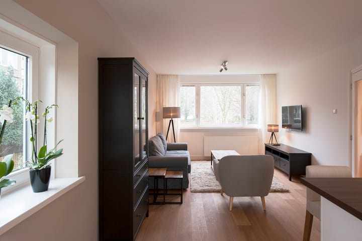 Foto 9 van Schierstins 155