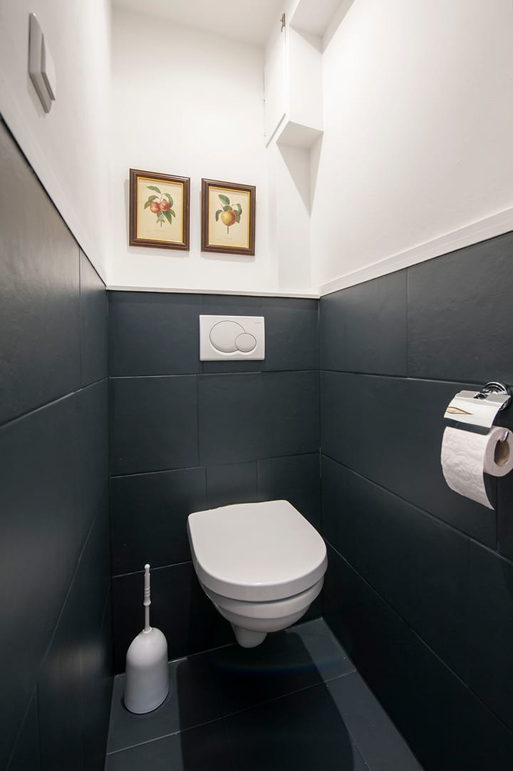 Foto 12 van Schierstins 155