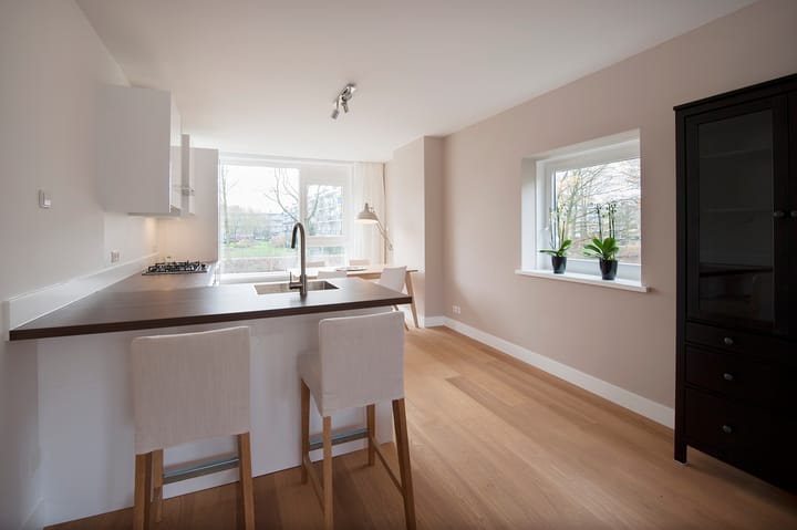 Foto 20 van Schierstins 155