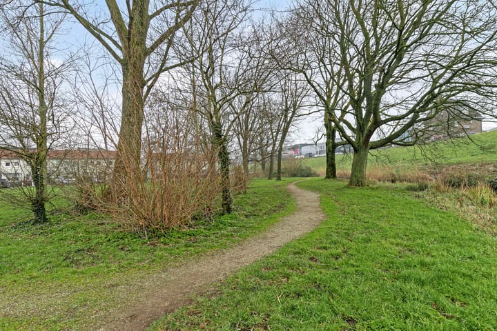 Foto 43 van Speenkruidstraat 9