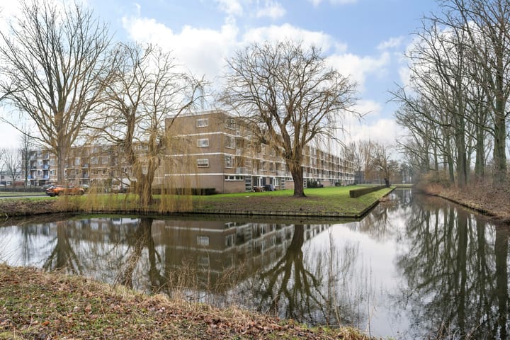 Foto 39 van Jeroen Boschstraat 77