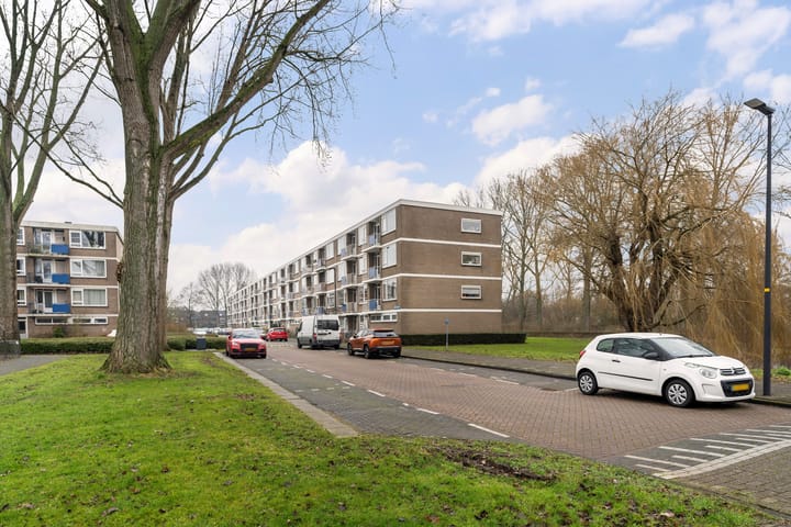 Foto 38 van Jeroen Boschstraat 77