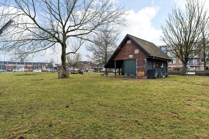 Foto 40 van Jeroen Boschstraat 77