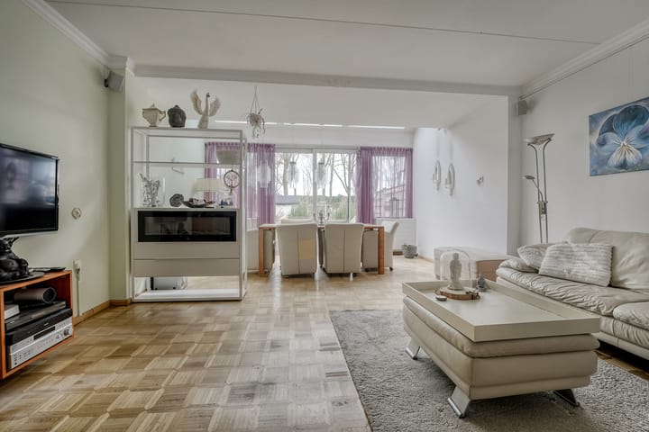 Foto 13 van Zwaan 40