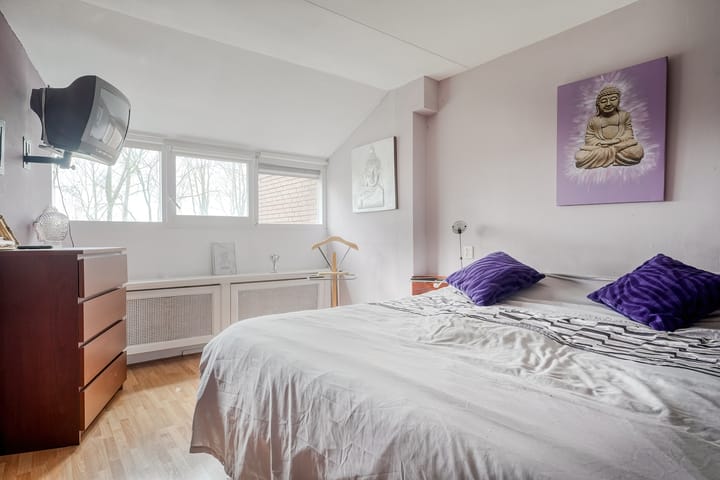 Foto 24 van Zwaan 40