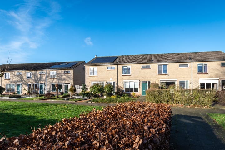 Foto 18 van Coornhertstraat 6