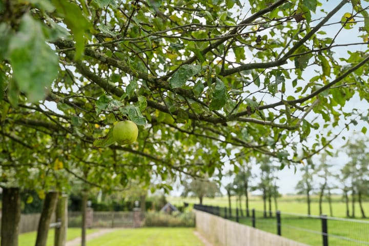 Foto 64 van Heuvelakkersestraat 4