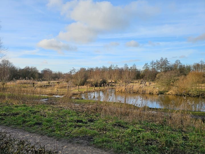 Foto 39 van Van Beuningenstraat 144-3