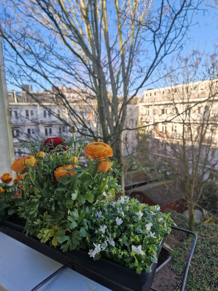 Foto 41 van Van Beuningenstraat 144-3