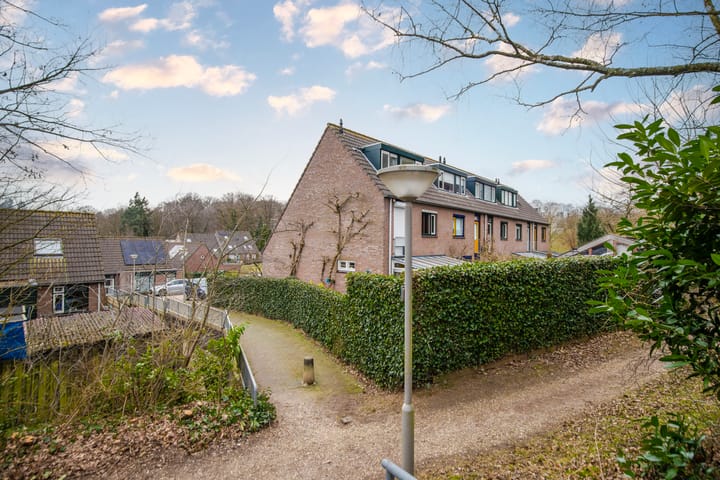 Foto 35 van Hertshoornstraat 62