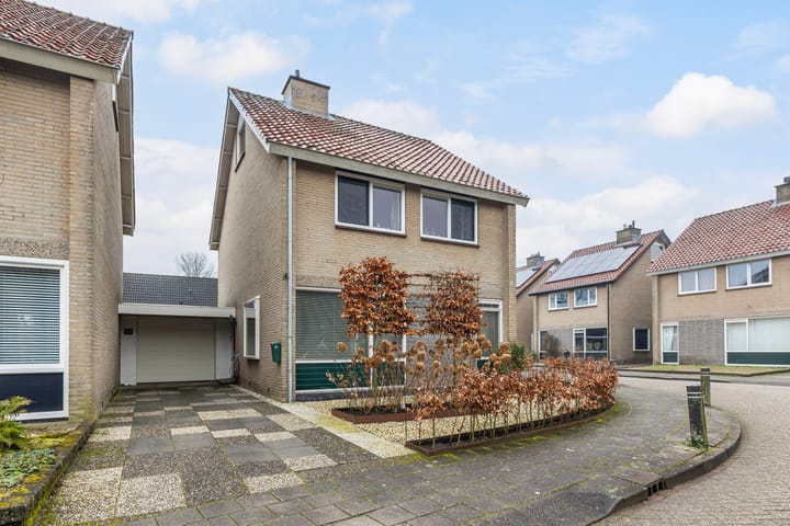 undefined main image
