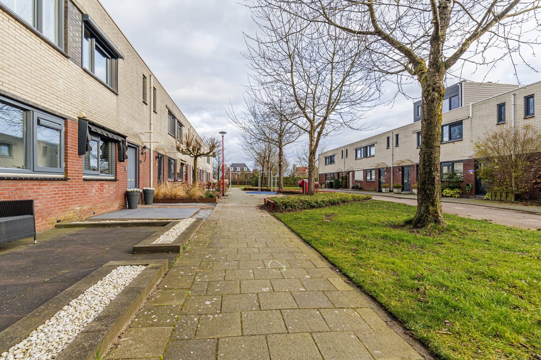 Foto 37 van Multatulipad 83