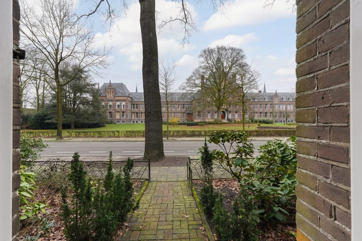 Foto 4 van Theerestraat 63