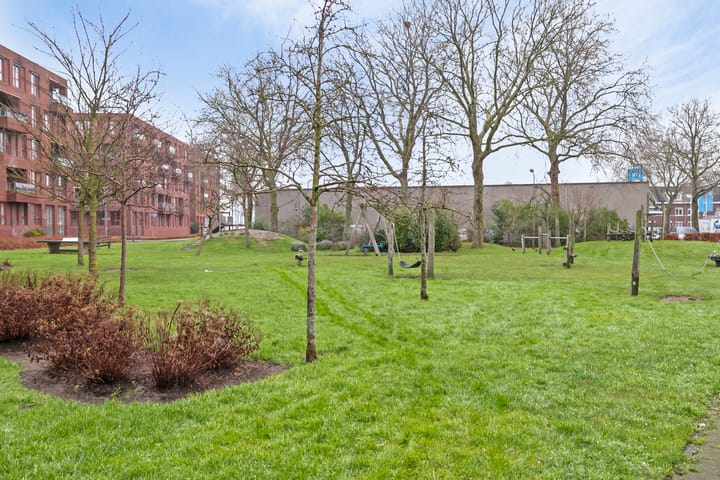 Foto 51 van Dalkruidstraat 16