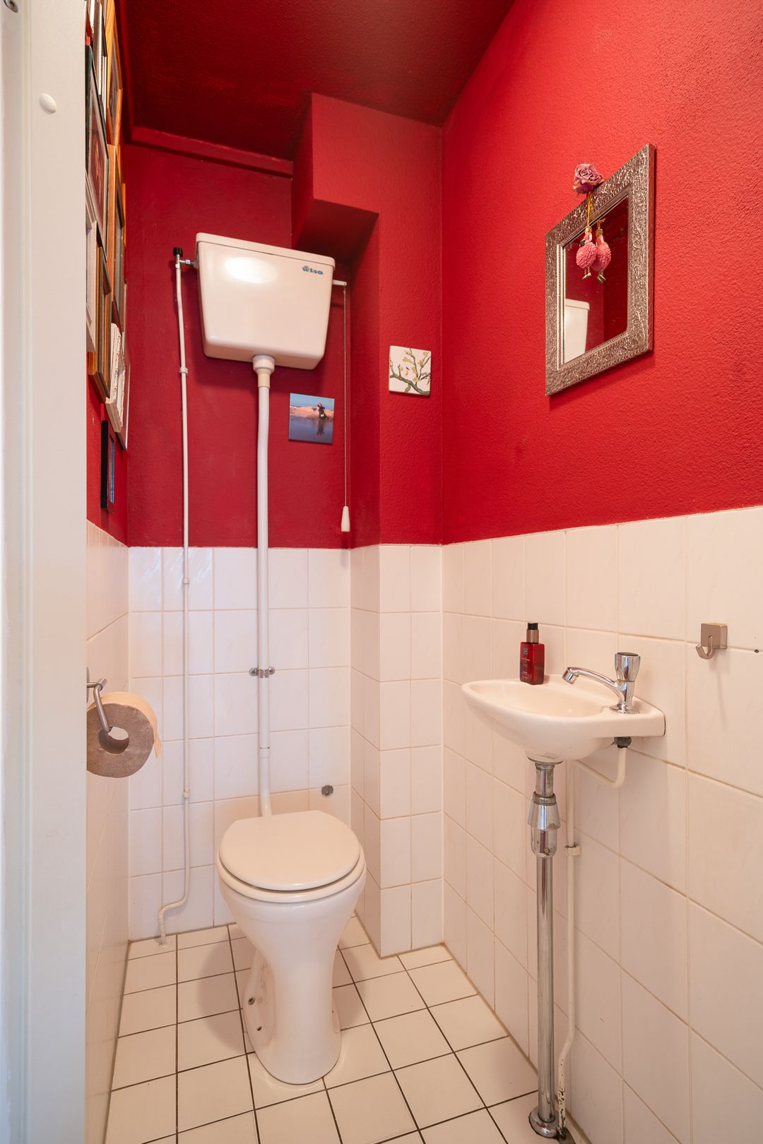 Foto 11 van Akelei 2