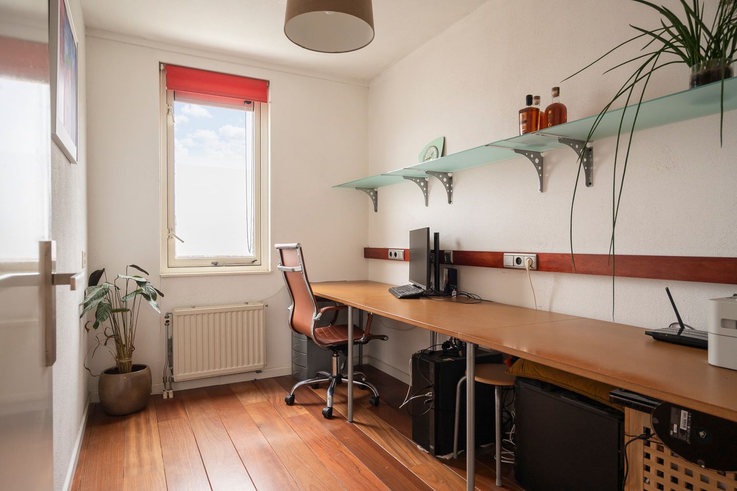 Foto 19 van Akelei 2