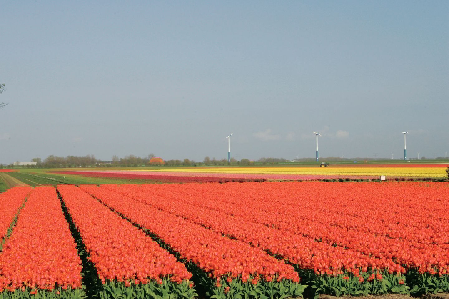 Foto 25 van Burgerweg 13-H6