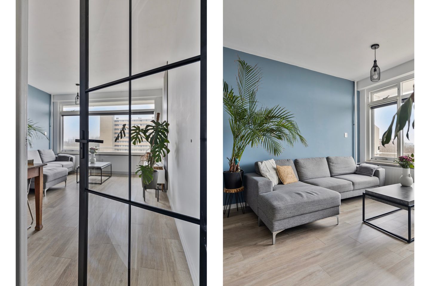 Photo 5 of Langswater 469